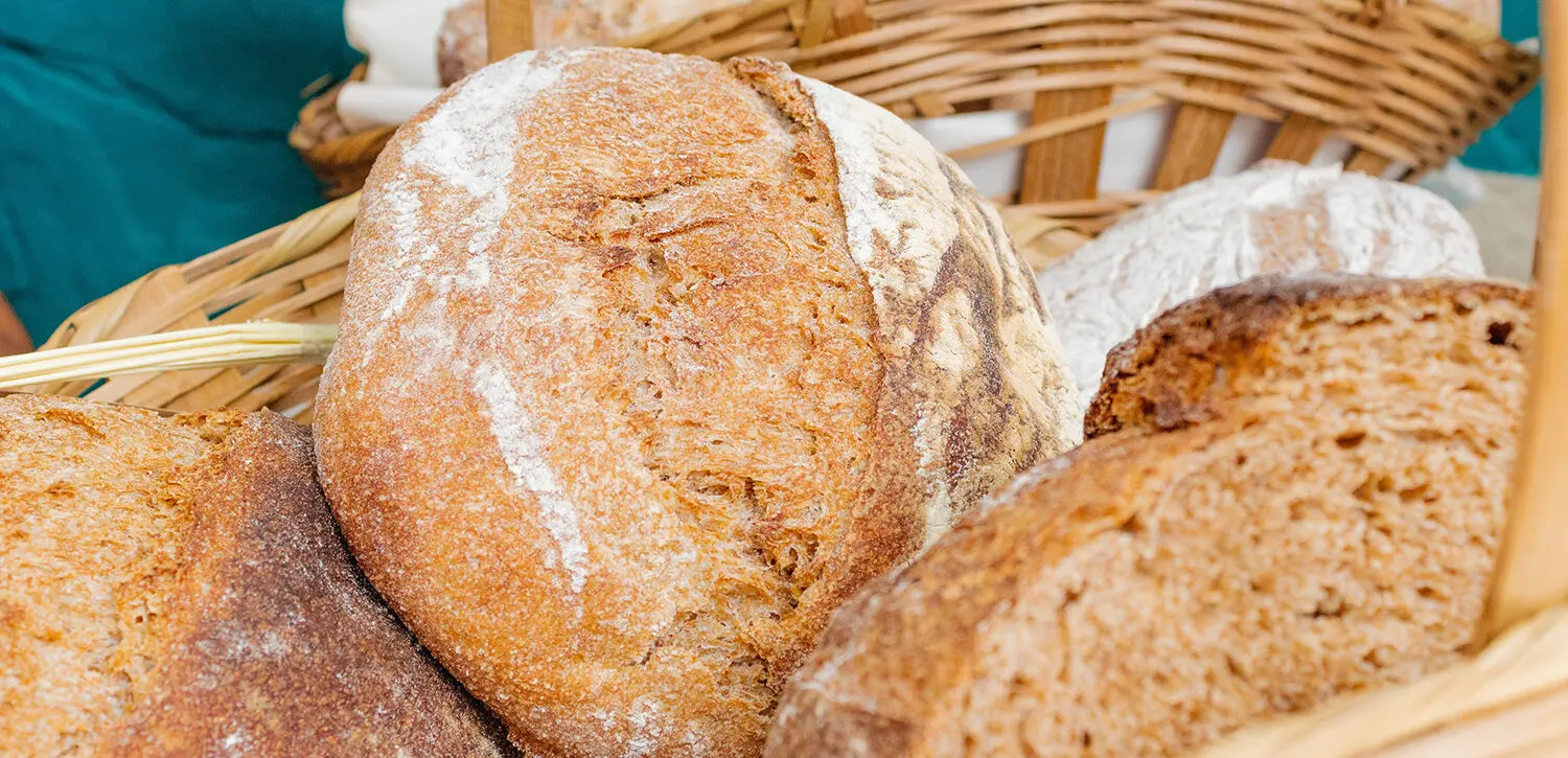 wellington accommodation harbourside market bread
