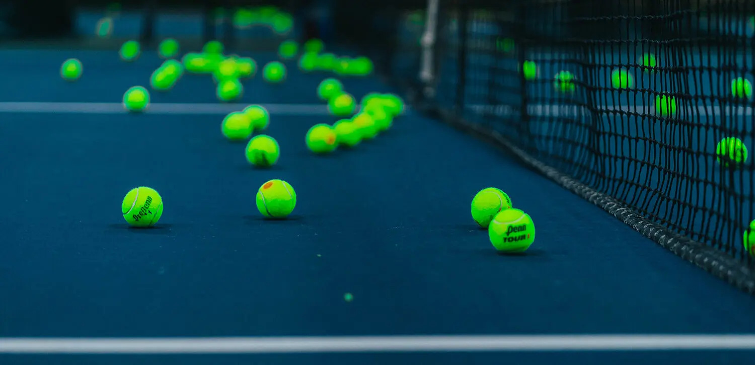 wellington indoor sports