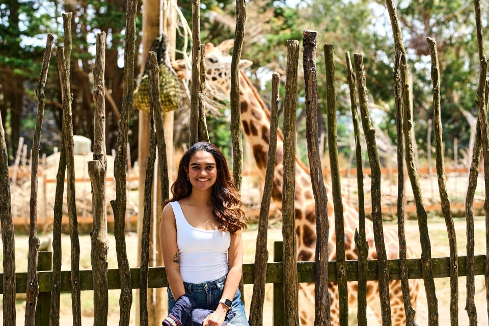 Wellington Zoo