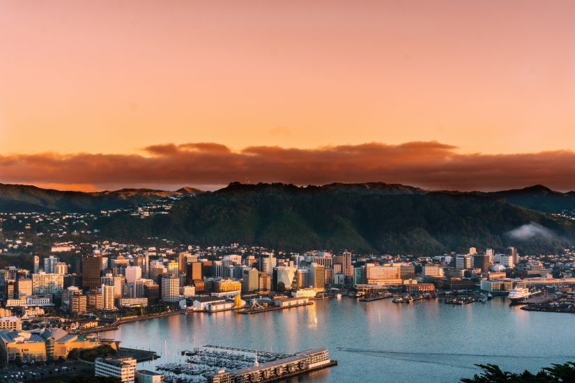 wellington - free unsplash image