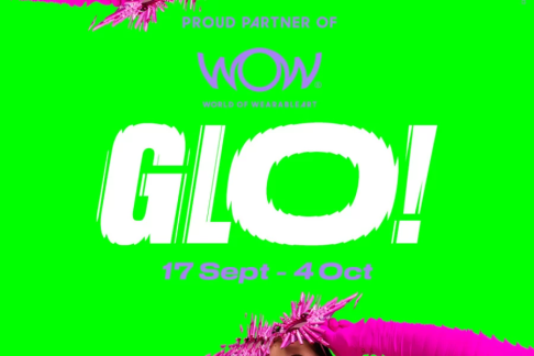 The Ultimate WOW Insider Package: Exclusive Rates, Free Parking & VIP Guest Benefits